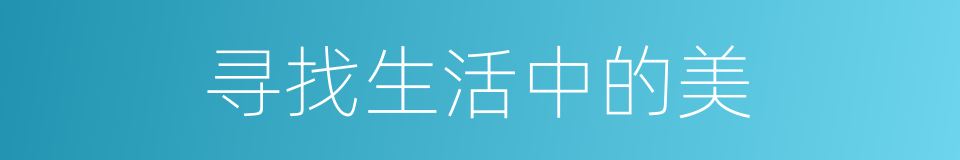 寻找生活中的美的同义词