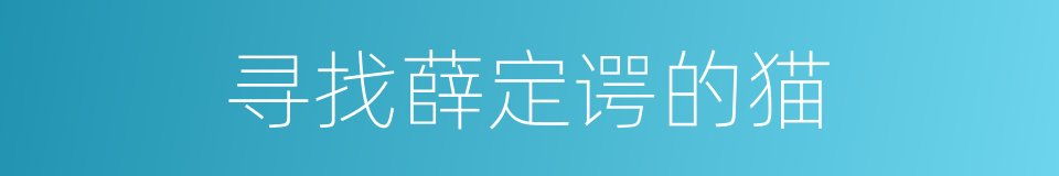 寻找薛定谔的猫的同义词