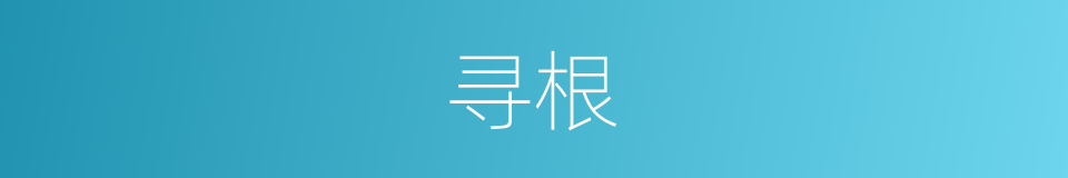 寻根的意思