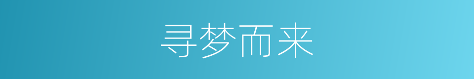 寻梦而来的同义词