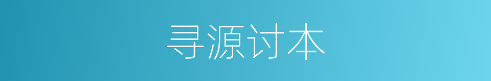 寻源讨本的意思