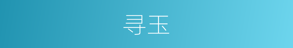 寻玉的同义词