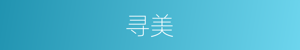 寻美的意思