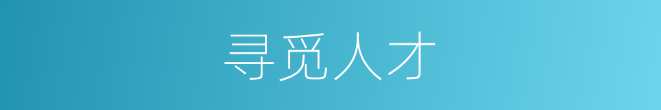 寻觅人才的同义词