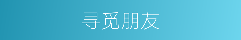 寻觅朋友的同义词