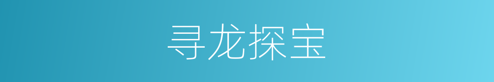 寻龙探宝的同义词