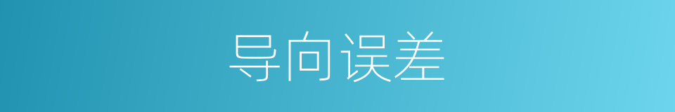导向误差的同义词