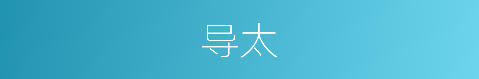 导太的同义词
