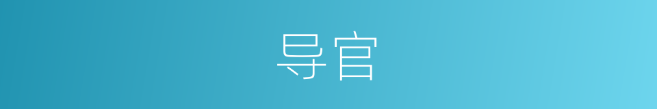 导官的意思
