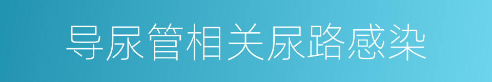 导尿管相关尿路感染的同义词