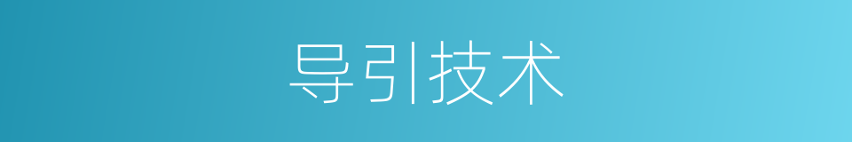 导引技术的同义词