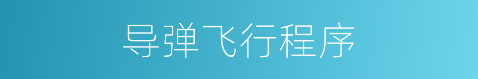 导弹飞行程序的同义词