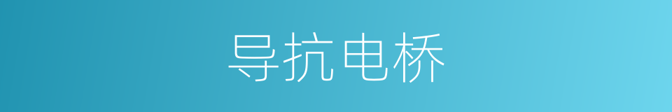 导抗电桥的同义词