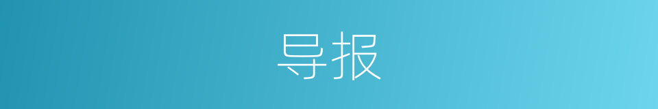 导报的意思