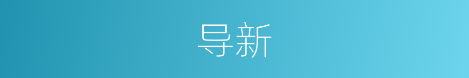 导新的同义词