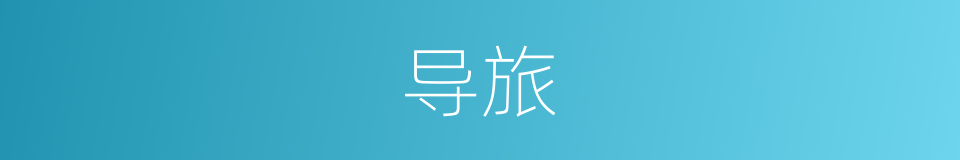 导旅的同义词