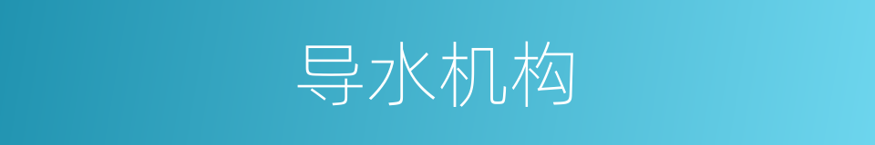 导水机构的同义词