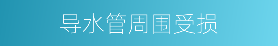 导水管周围受损的同义词