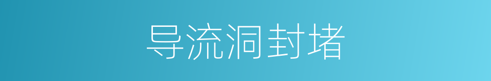 导流洞封堵的同义词