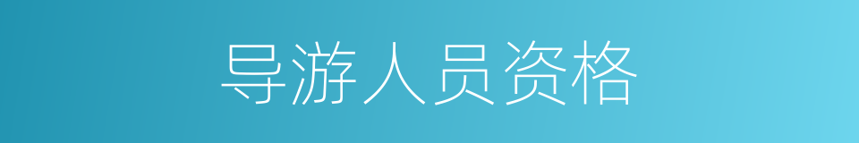 导游人员资格的同义词