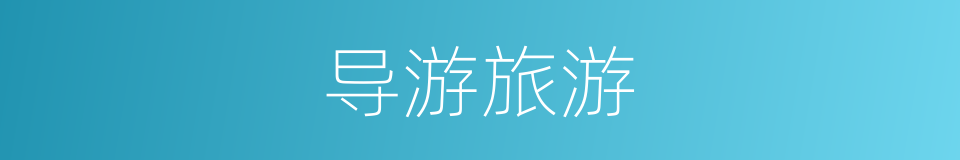 导游旅游的同义词