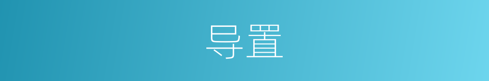 导置的同义词