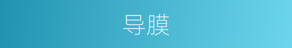 导膜的同义词