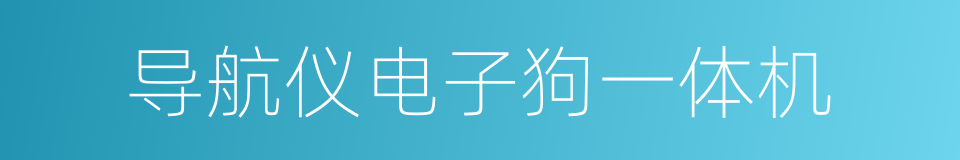 导航仪电子狗一体机的同义词