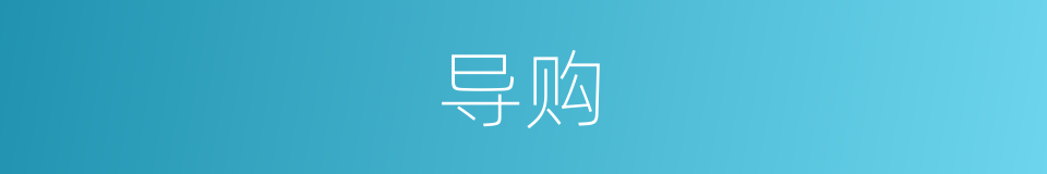 导购的意思