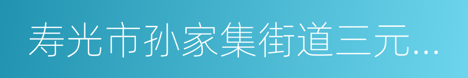 寿光市孙家集街道三元朱村的同义词