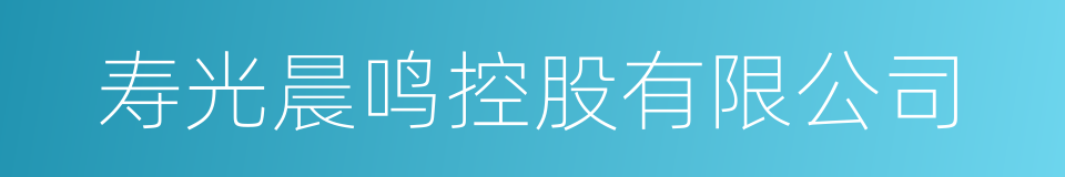 寿光晨鸣控股有限公司的同义词