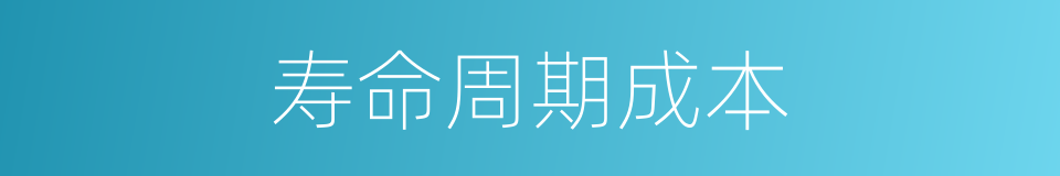 寿命周期成本的同义词