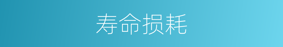 寿命损耗的同义词