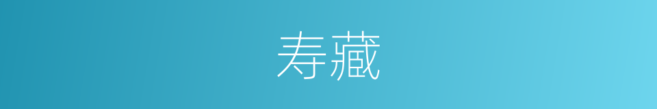 寿藏的意思