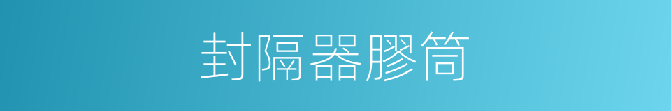 封隔器膠筒的同義詞