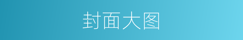 封面大图的同义词