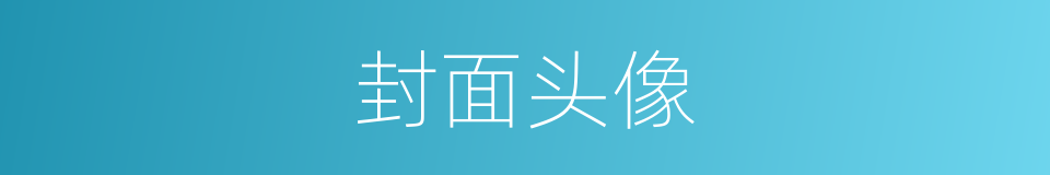 封面头像的同义词