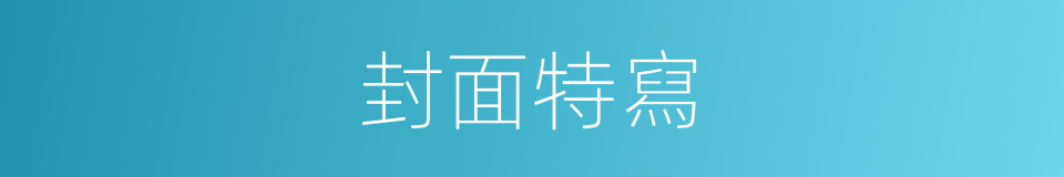 封面特寫的同義詞