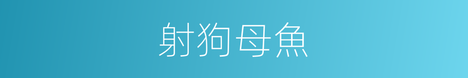 射狗母魚的同義詞