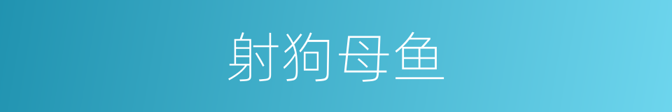 射狗母鱼的同义词