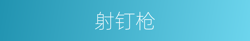 射钉枪的同义词