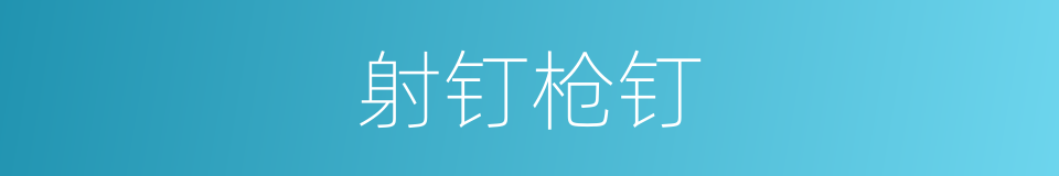 射钉枪钉的同义词