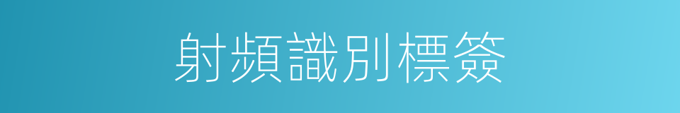 射頻識別標簽的同義詞