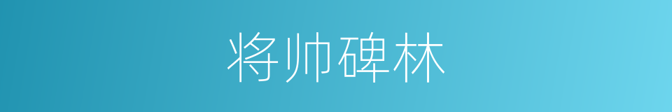 将帅碑林的同义词
