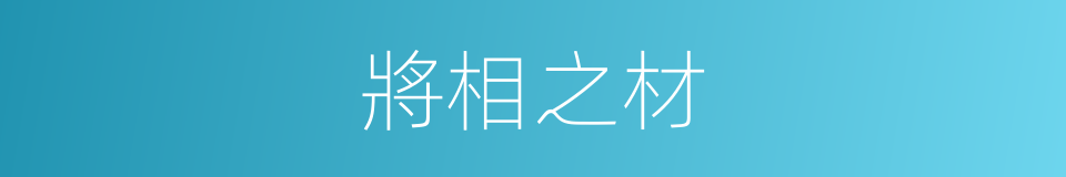 將相之材的同義詞