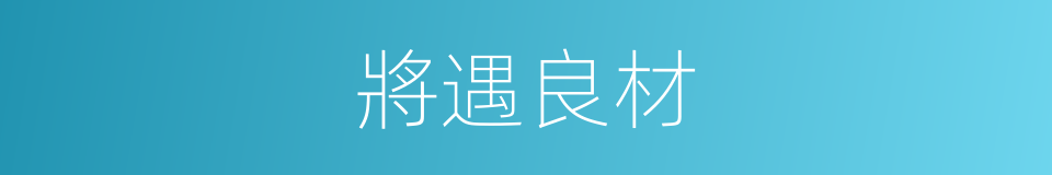 將遇良材的意思