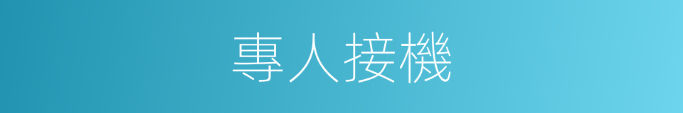 專人接機的同義詞