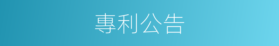 專利公告的同義詞