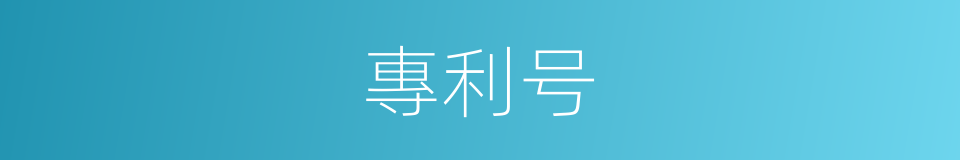 專利号的同義詞