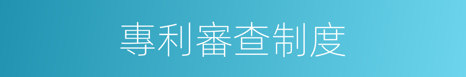 專利審查制度的同義詞
